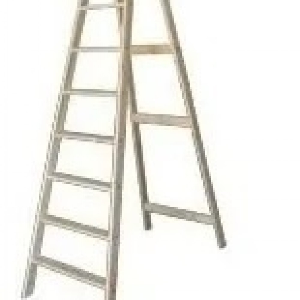 escalera-familiar-prof-10-esc-1354